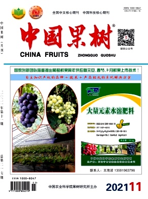 《中国果树杂志》