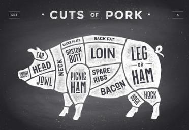 猪肉价格论文